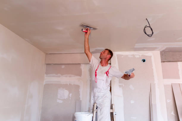 Best Ceiling Drywall Installation  in Poughkeepsie, NY